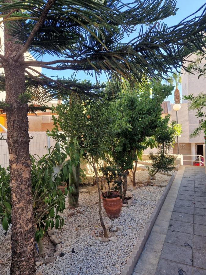 Magnifico Chalet Adosado En Torrevieja, Alicante. Exterior photo
